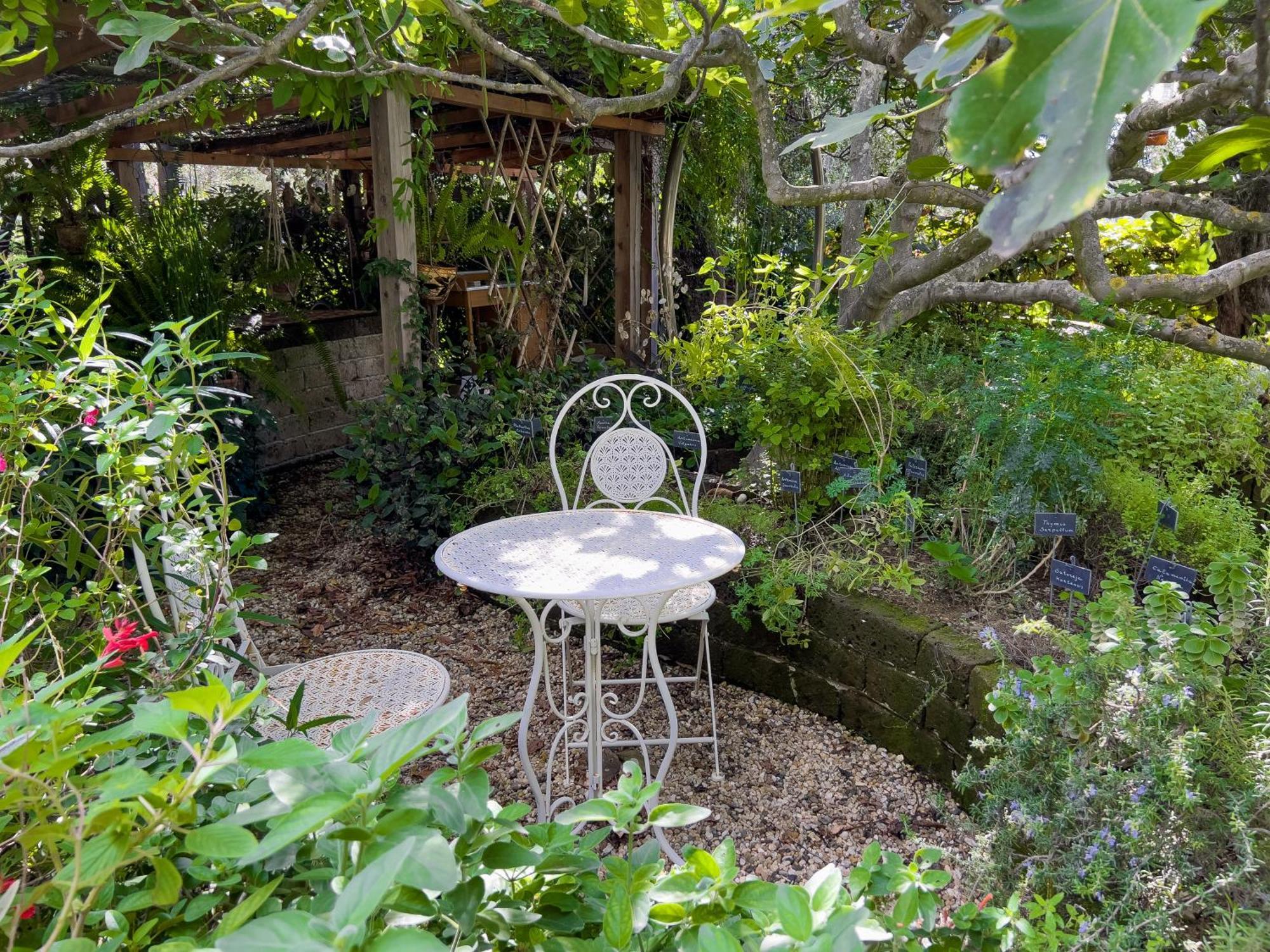 Villa La Rodina Diano Marina Bagian luar foto